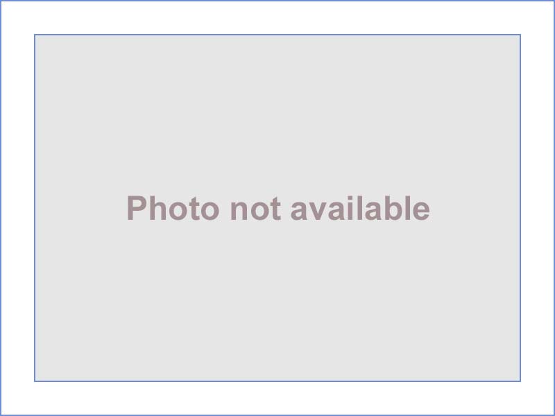 Rent house photo